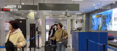 热门景区挤满外国游客，小众乡村与高科技景点成打卡新选项